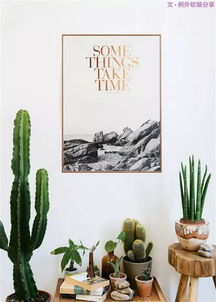 不能不知的家居绿植选择 养护技巧,居家必备